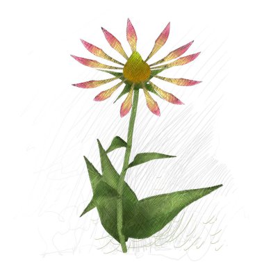 beyaz zemin üzerine suluboya çiçek