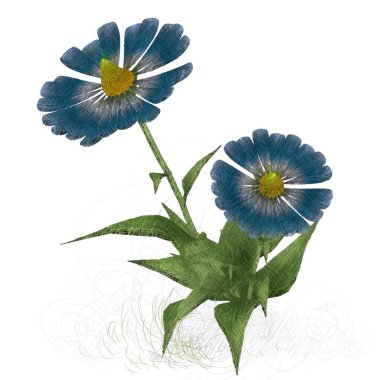 Beyaz arka planda izole çiçek