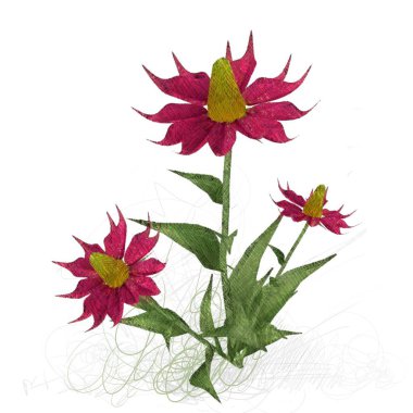 2d illüstrasyon. Dekoratif izole çiçek görüntüsü. Çiçek İllüstrasyon. Vintage botanik sanat. El yapımı çizim.