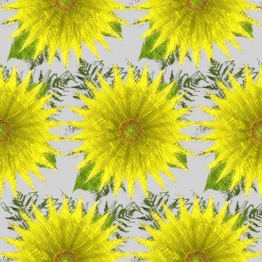 Tarlada ayçiçeği çiçekler.