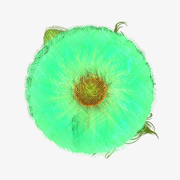 Зелена Квітка Ізольована Білому Тлі — стокове фото