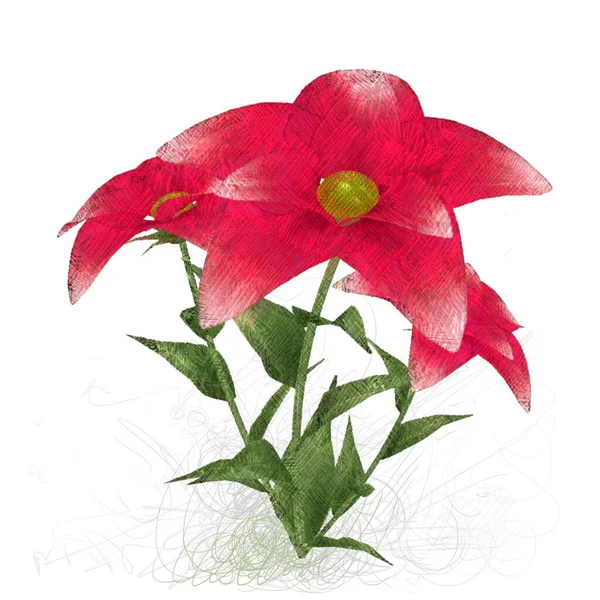 kırmızı gül beyaz arkaplanda izole