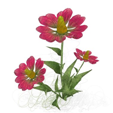 Beyaz arkaplanda güzel çiçekler 