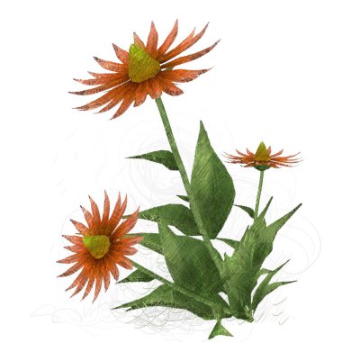 beyaz zemin üzerine suluboya çiçek