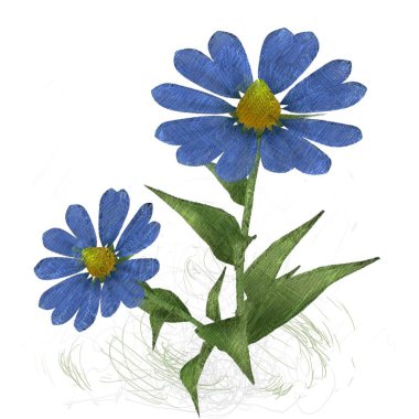 Beyaz arkaplanda güzel çiçekler