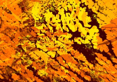 metin için alan ile arka planda soyut renkli lekeler      