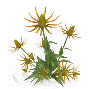 beyaz zemin üzerine suluboya çiçek