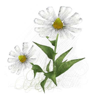 çiçek ile güzel çiçek çiçek