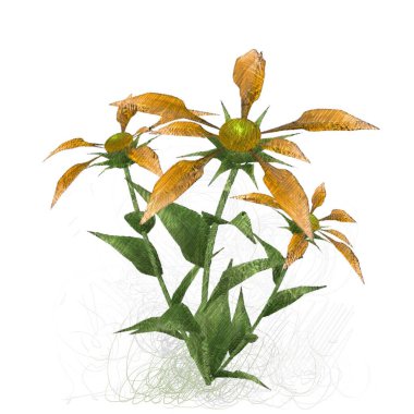 Beyaz arka plan üzerinde izole suluboya