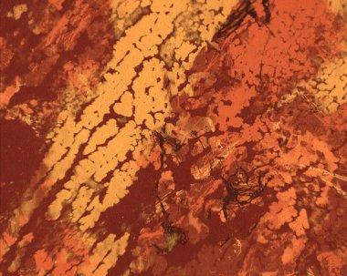 metin için alan ile arka planda soyut renkli lekeler