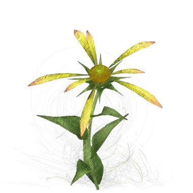 2d illüstrasyon. Dekoratif izole çiçek görüntüsü. Çiçek İllüstrasyon. Vintage botanik sanat. El yapımı çizim.