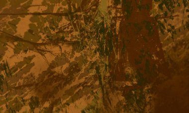 metin için alanı olan grunge arkaplanı    