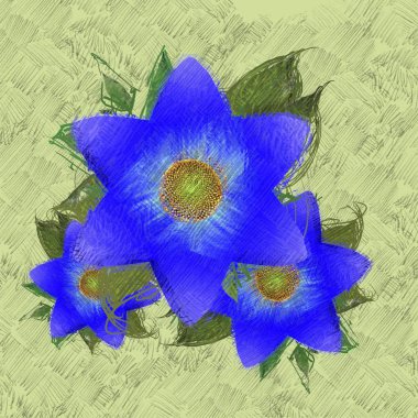 mavi ve beyaz arkaplan