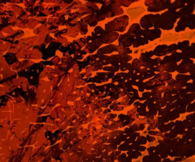 metin için alanı olan grunge arkaplanı 