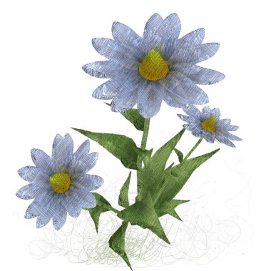 Beyaz arkaplanda izole edilmiş güzel çiçekler