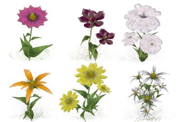 Beyaz arkaplanda güzel çiçekler