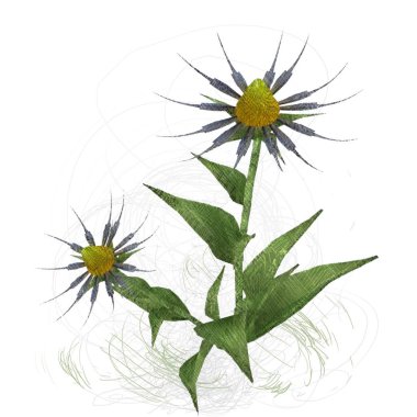 Beyaz arkaplanda güzel çiçekler