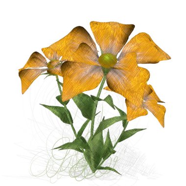 Sonbahar Yaprakları Beyazda İzole Edildi