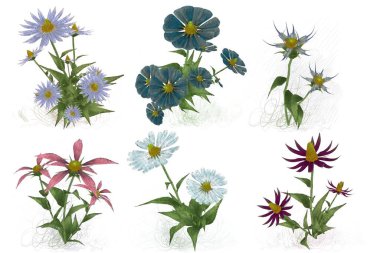 Beyaz arka planda suluboya çiçekler seti