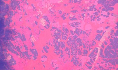 Boyayla soyut arkaplan 