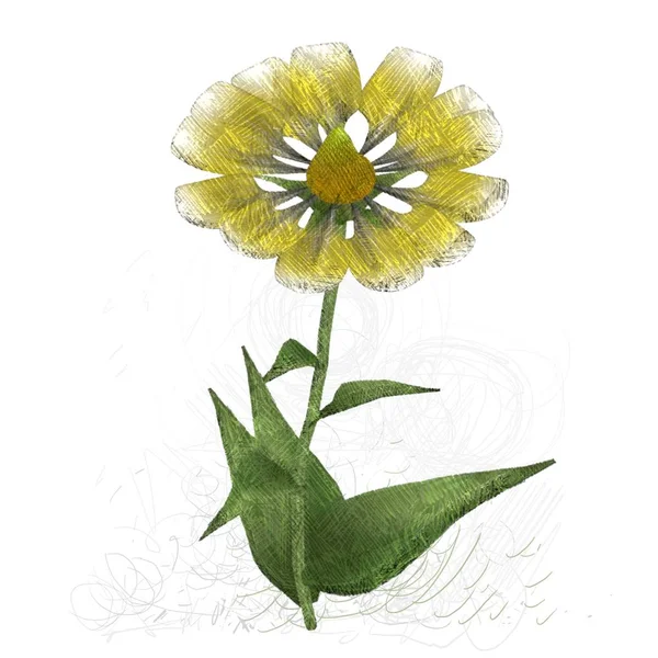 Zelená Květina Izolované Bílém Pozadí — Stock fotografie