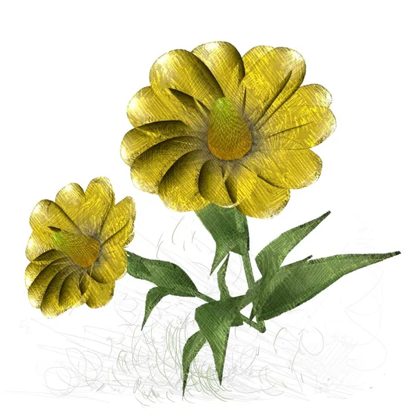 五颜六色的花卉纹理背景 — 图库照片