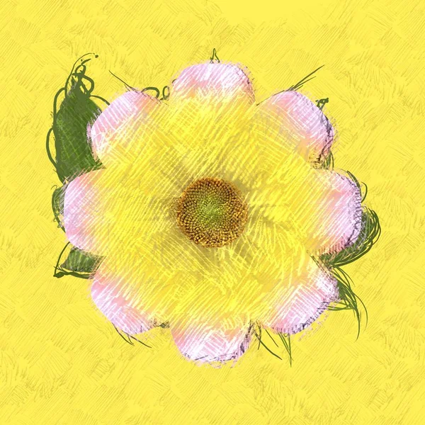 Πολύχρωμο Φόντο Λουλουδιών Υφή — Φωτογραφία Αρχείου