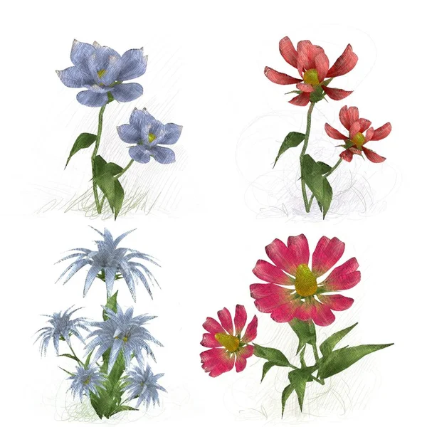 Akvarel Květinové Vzory Květinami — Stock fotografie