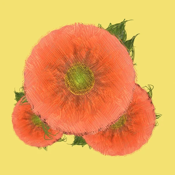 Röd Blomma Isolerad Vit Bakgrund — Stockfoto