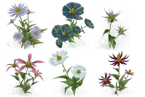 Beyaz arka planda suluboya çiçekler seti