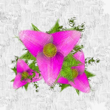 Bir buket pembe gül.