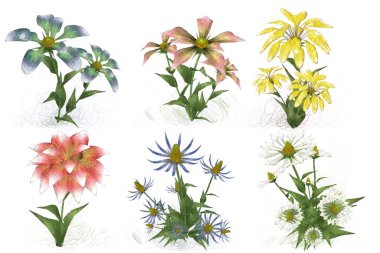 Beyaz arkaplanda güzel çiçekler