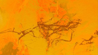 boya lekeleri ile grunge arka plan   