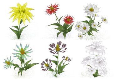 Beyaz arkaplanda güzel çiçekler