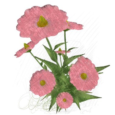 Beyaz arkaplanda izole edilmiş suluboya çiçekleri