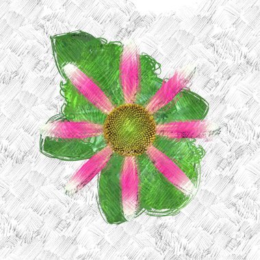 Beyaz arkaplanda kırmızı çiçek