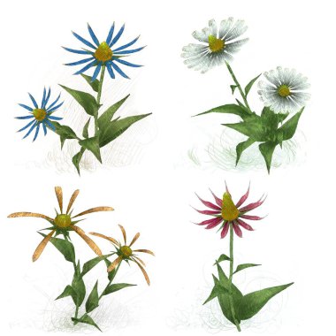 Beyaz arka planda güzel suluboya çiçekler