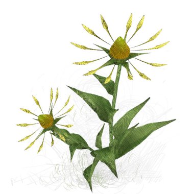 Renkli çiçek doku arka plan 