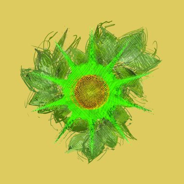 Renkli çiçek doku arka plan 