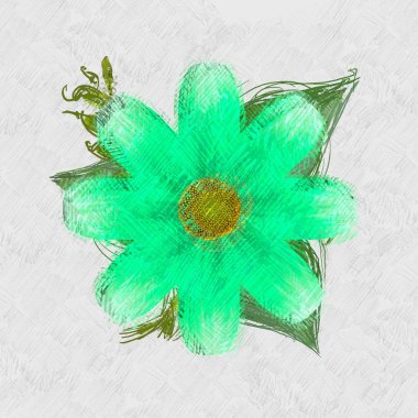 Beyaz arkaplanda güzel bir çiçek