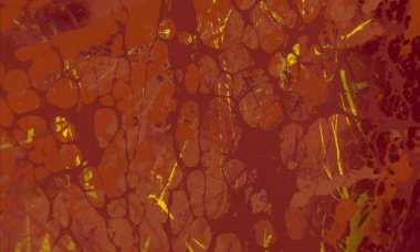 Metin için yeri olan boya lekeleriyle soyut arkaplan