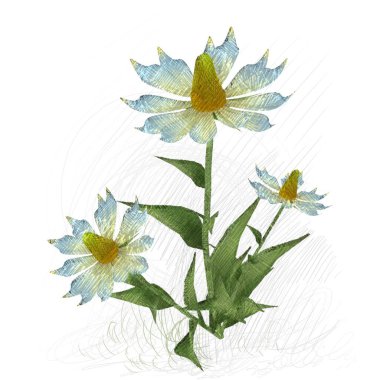 beyaz zemin üzerine suluboya çiçek