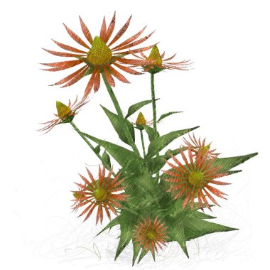 Beyaz arkaplanda izole edilmiş noel ağacı