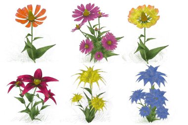 Beyaz arkaplanda güzel çiçekler