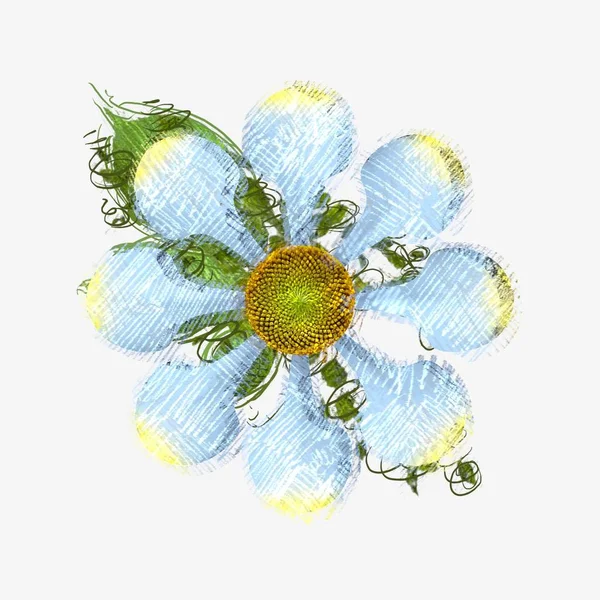 Aquarelle Fleur Avec Des Fleurs — Photo