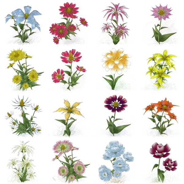 Çiçeklerle kusursuz desen