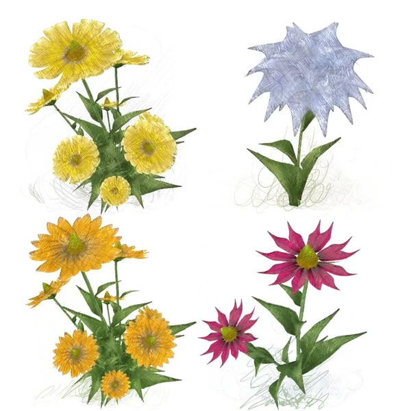 Beyaz arkaplanda güzel çiçekler