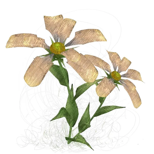 Ręcznie Rysowane Kwiaty Ilustracja Wektora — Zdjęcie stockowe