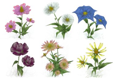 Beyaz arka plan üzerinde izole güzel suluboya çiçek