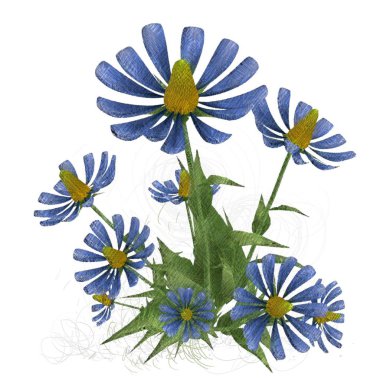 Beyaz arkaplanda güzel çiçekler 